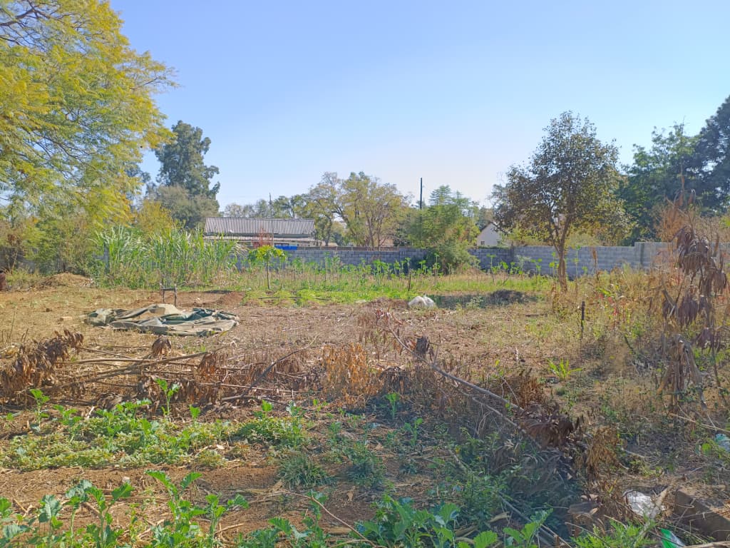 1276SQM Stand in Sauerstown for sale