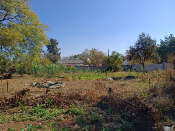 1276SQM Stand in Sauerstown for sale