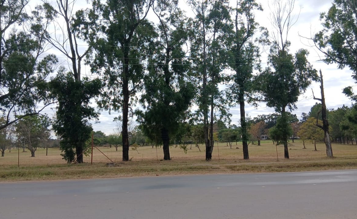 Prime 4000SQM Stand in Riverside for sale
