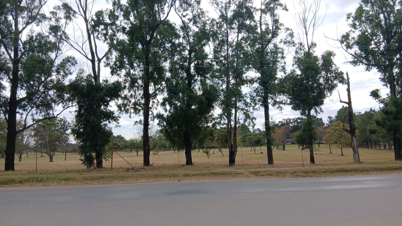 yyyyyyyyyyyyyyyyyyyyyyyyyyyyyy Prime 4000SQM Stand in Riverside for sale