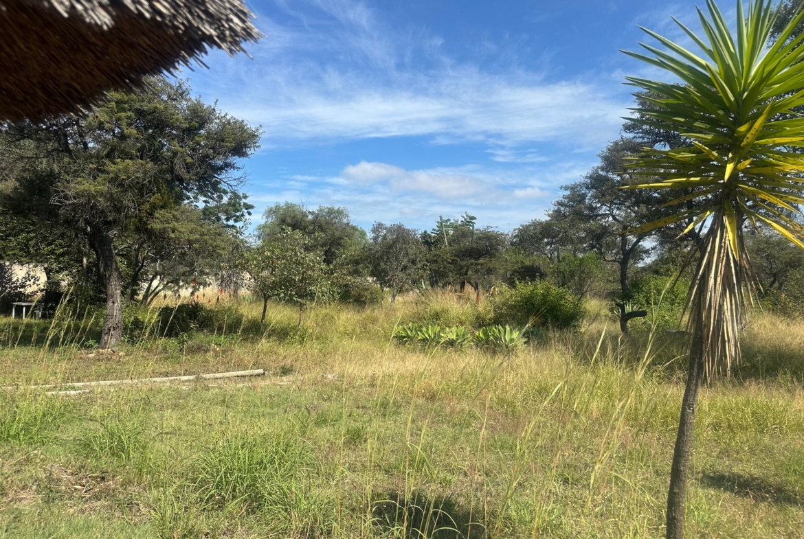 Prime 1 acre Corner stand in Burnside for sale