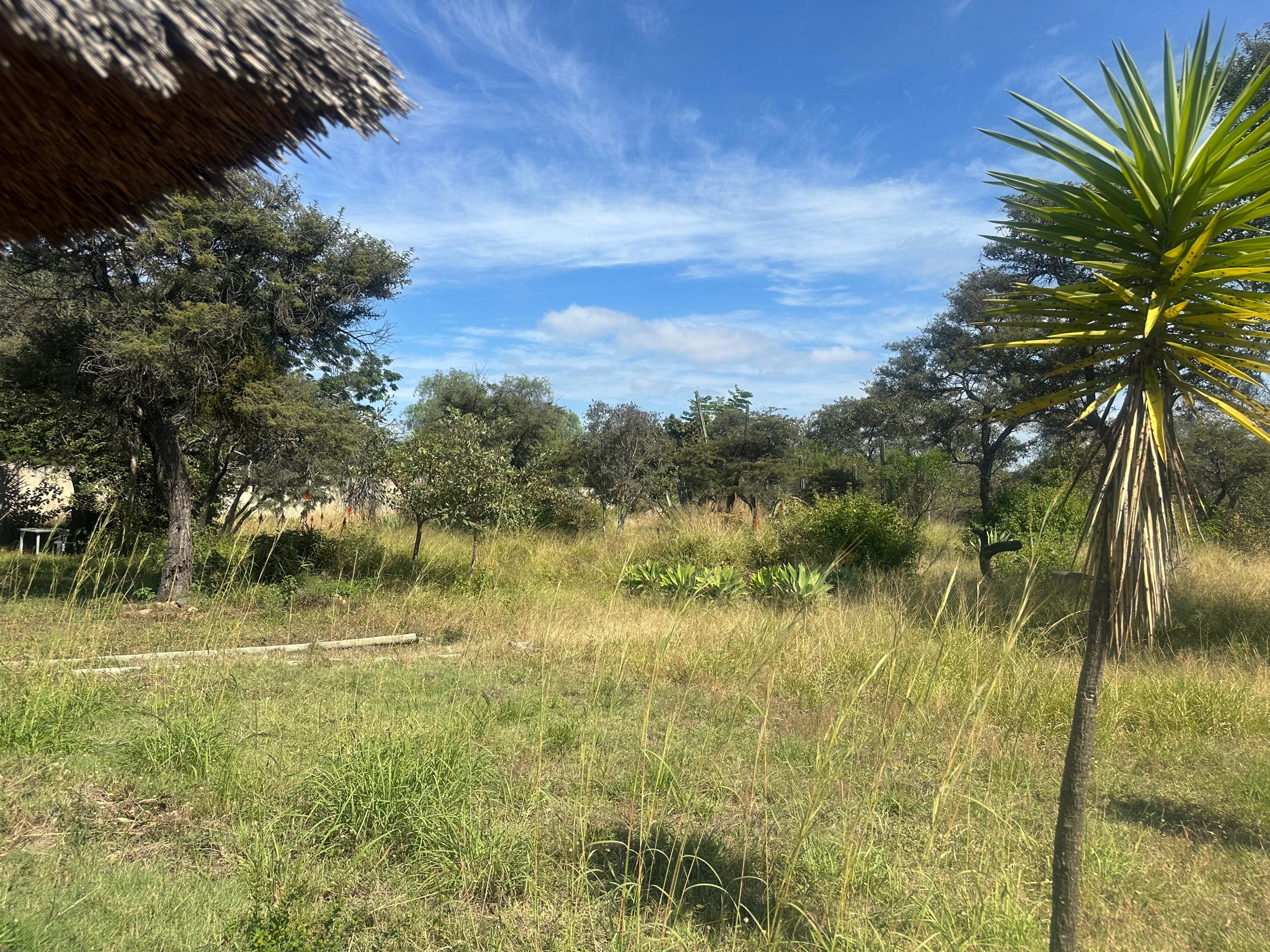 Prime 1 acre Corner stand in Burnside for sale