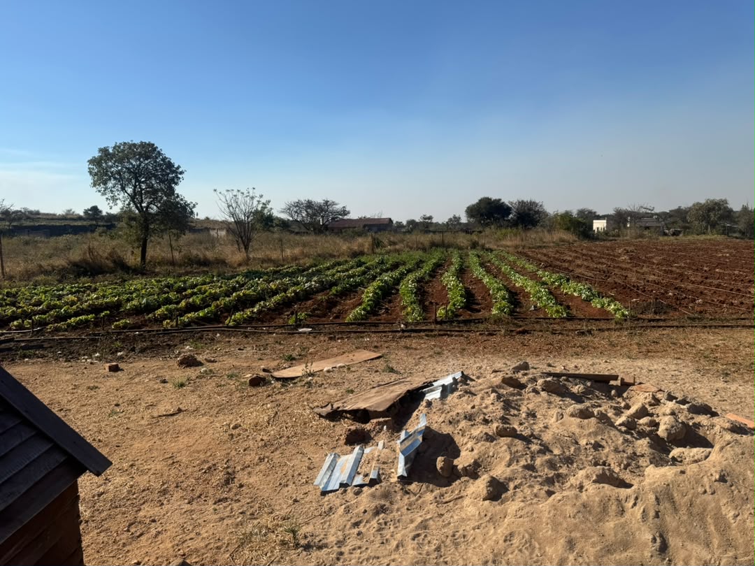 2 Acre stand in Douglasdale for sale