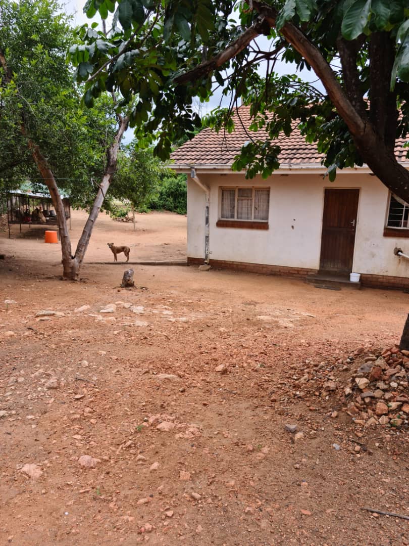 WhatsApp Image 2026-07-22 at 19.23.14 Beitbridge 5 Bedroom House For Sale