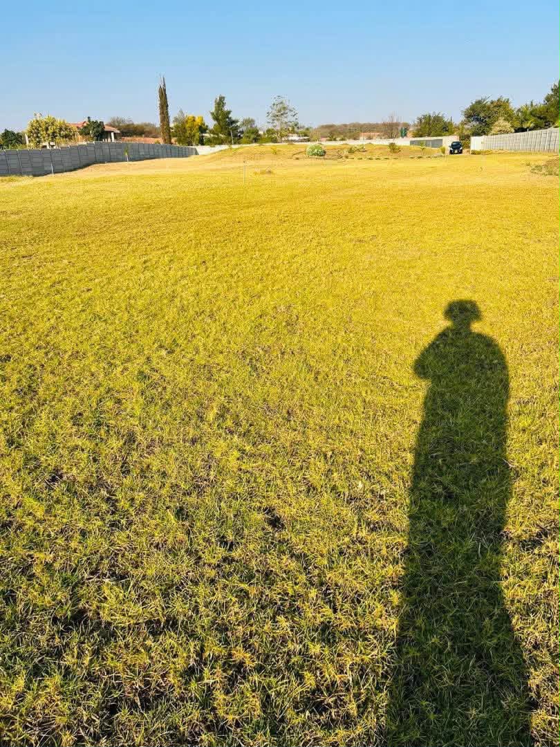 4000sqm Land in Buena Vista For Sale