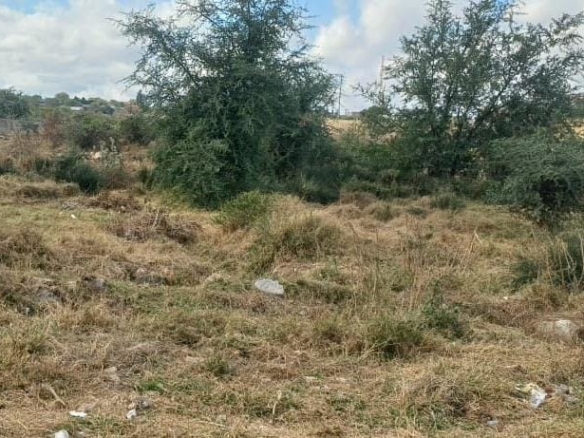 Prime Commercial Stands in Beitbridge For Sale
