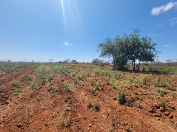 7.6 HECTARES OF LAND – 13KM FROM BULAWAYO CBD For Sale at $460k