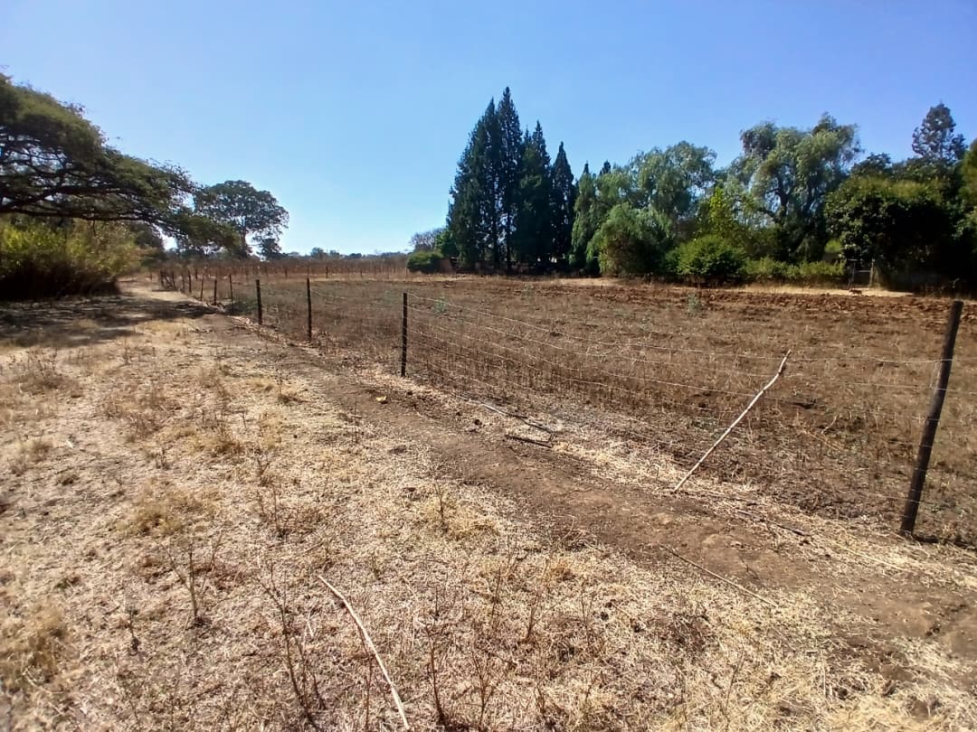 Douglasdale 5 Acre Agro-Residential Property For Sale