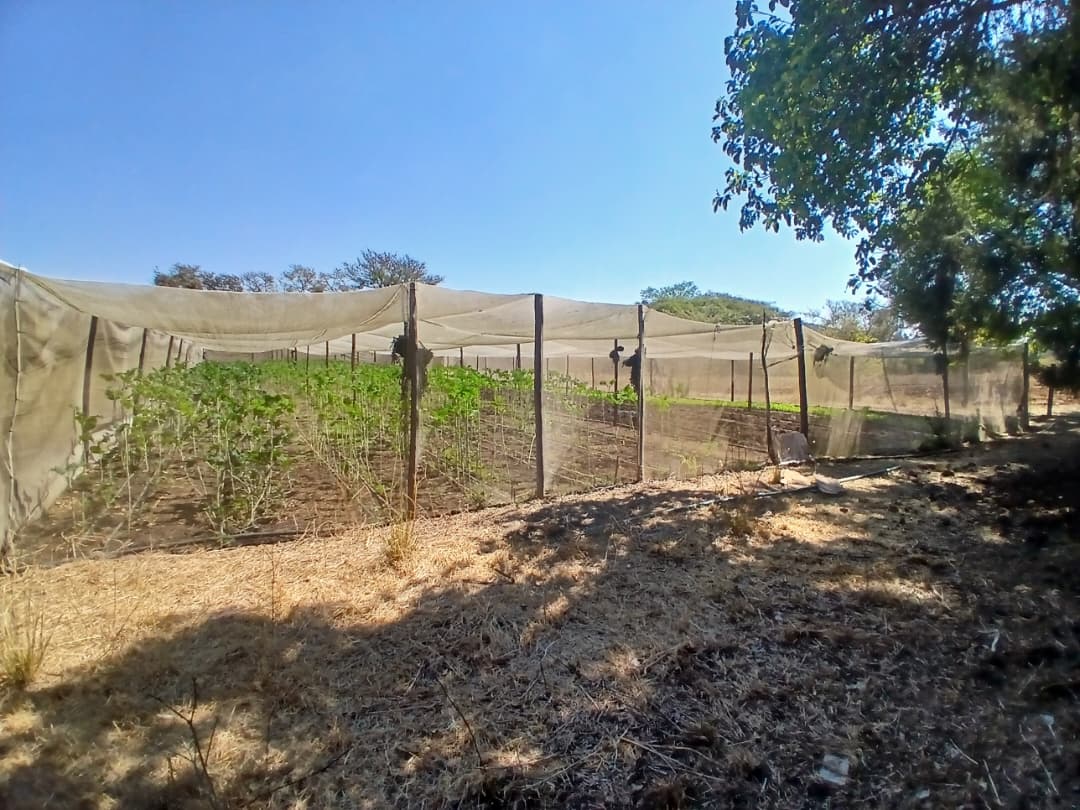 Douglasdale 5 Acre Agro-Residential Property For Sale