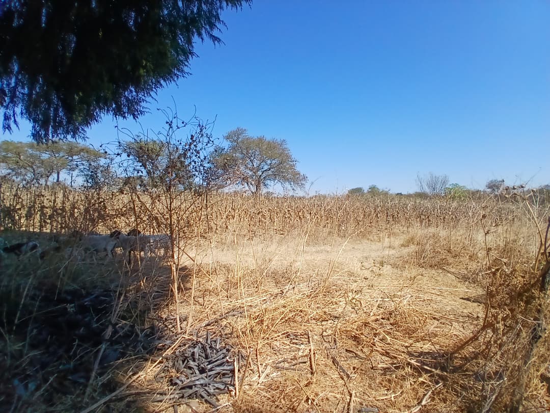 Douglasdale 5 Acre Agro-Residential Property For Sale