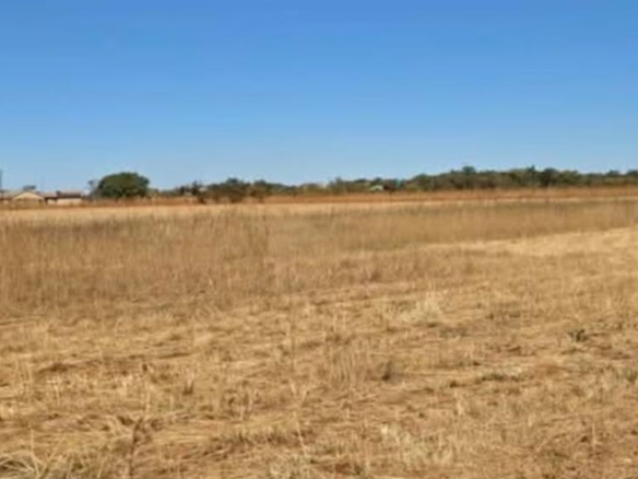 2.5 Hectare Plot in Kadoma For Sale