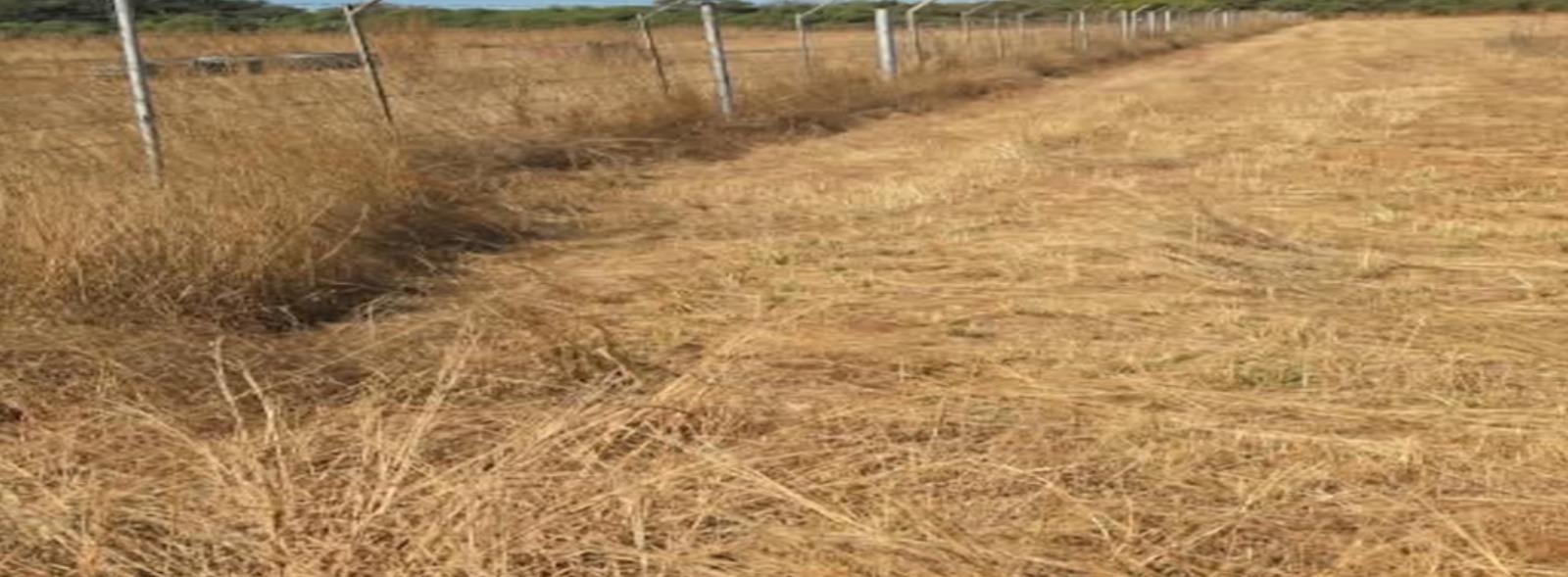 140047_kbwkhxk3th 2.5 Hectare Plot in Kadoma For Sale