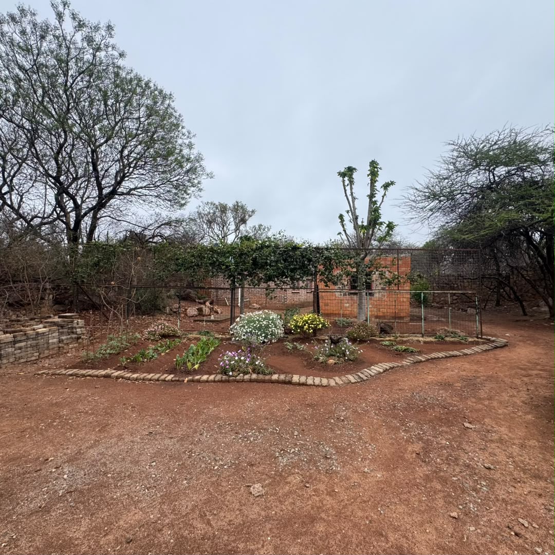 4 Bedroomed Thatched House in Burnside For Sale