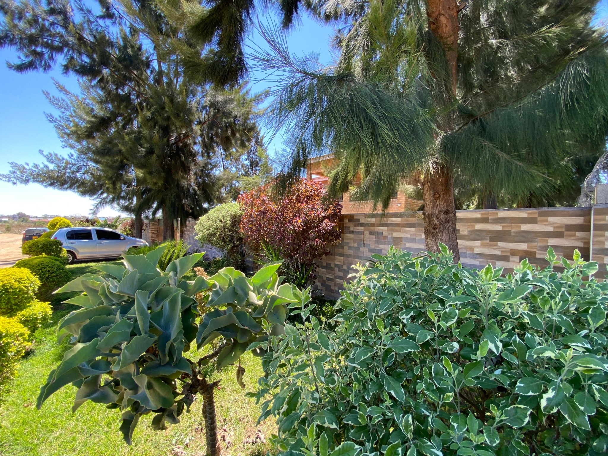6 Bedroom Double Storey House in Harrisvale For Sale