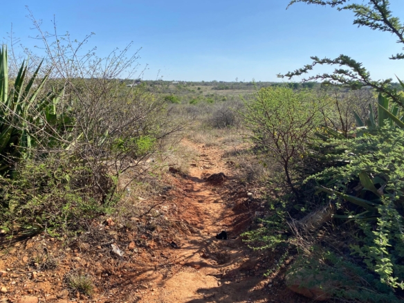 2.867Ha Kensington Plot For Sale