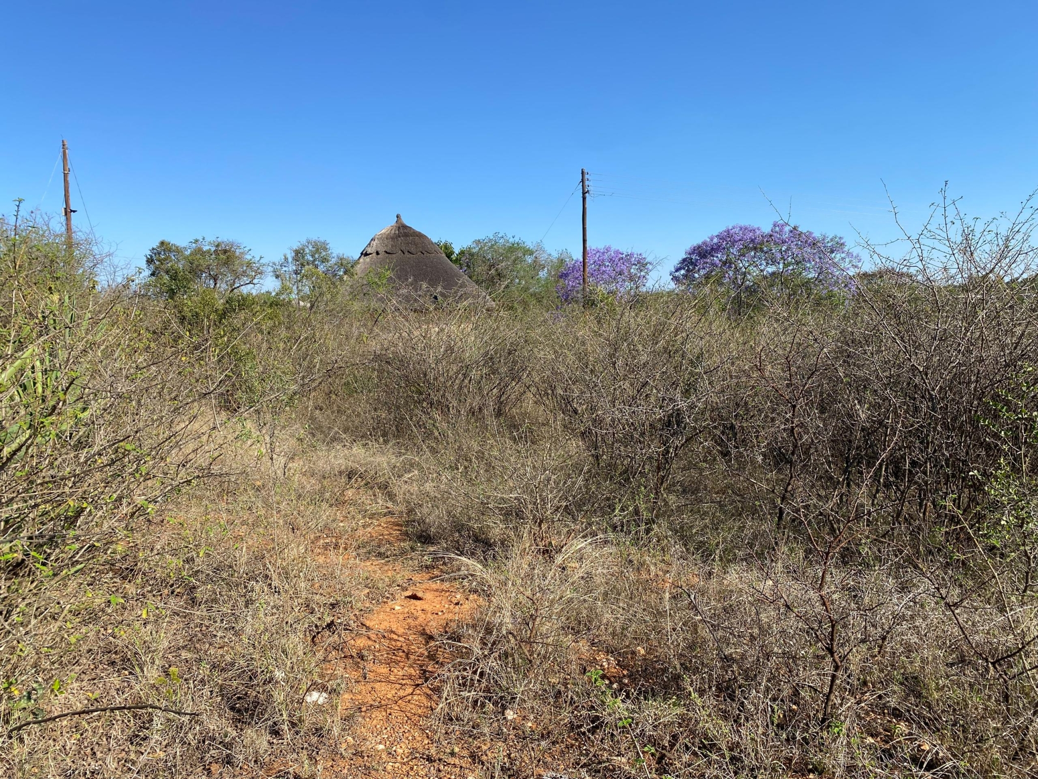 WhatsApp Image 2026-10-20 at 10.14.27 2.867Ha Kensington Plot For Sale