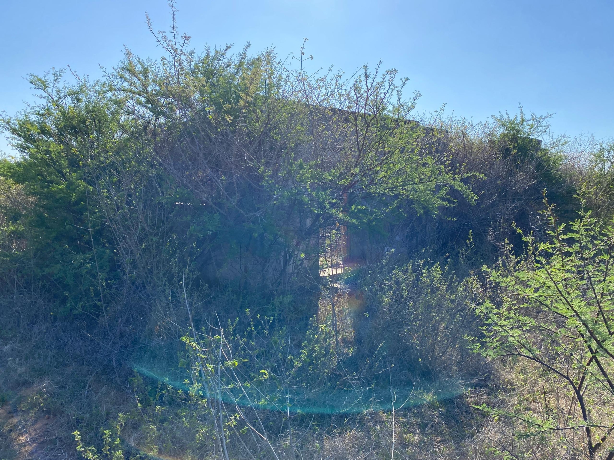 WhatsApp Image 2026-10-20 at 10.14.28 (1) 2.867Ha Kensington Plot For Sale