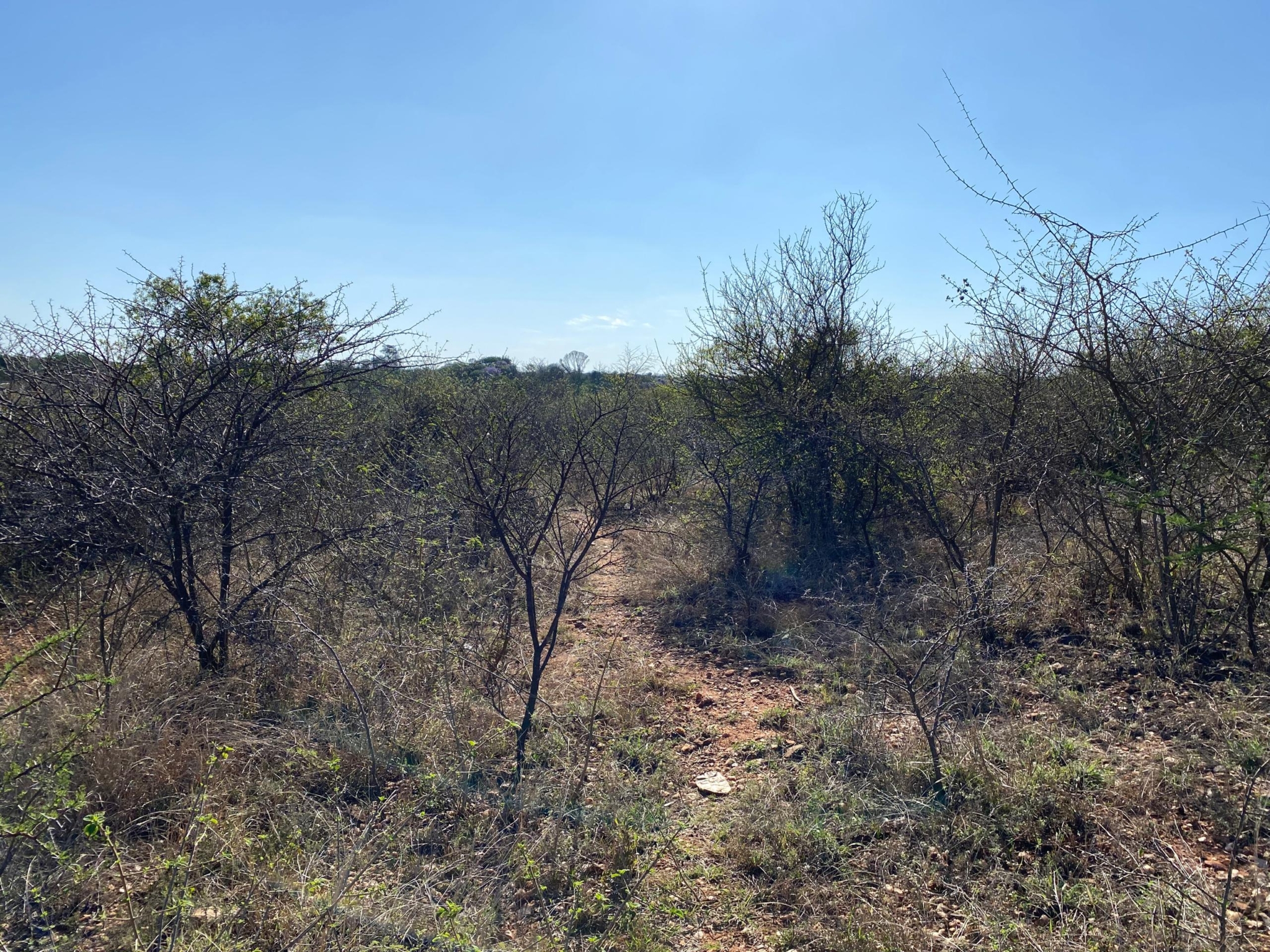 WhatsApp Image 2026-10-20 at 10.14.28 2.867Ha Kensington Plot For Sale