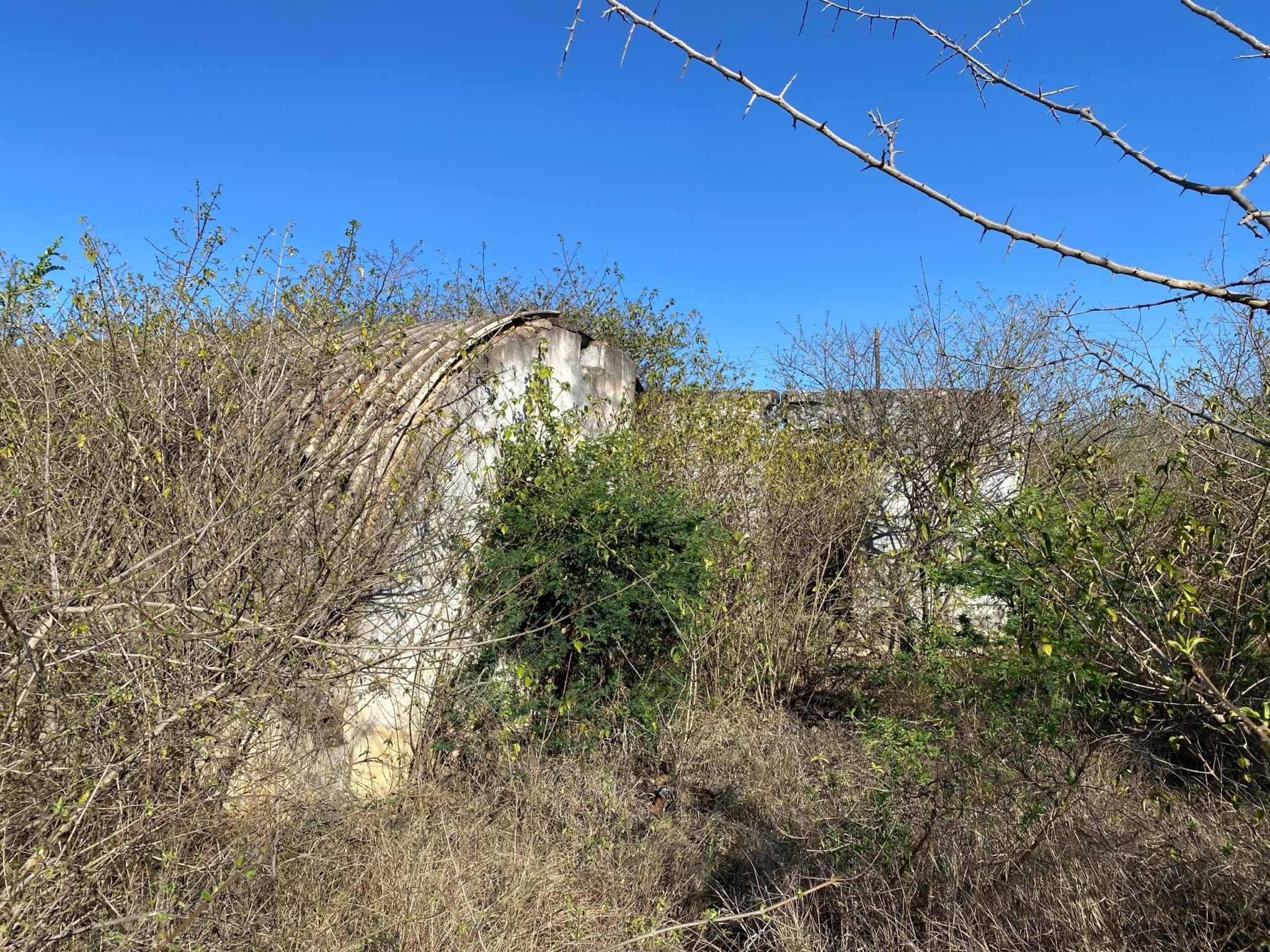 WhatsApp Image 2026-10-20 at 10.14.32 2.867Ha Kensington Plot For Sale