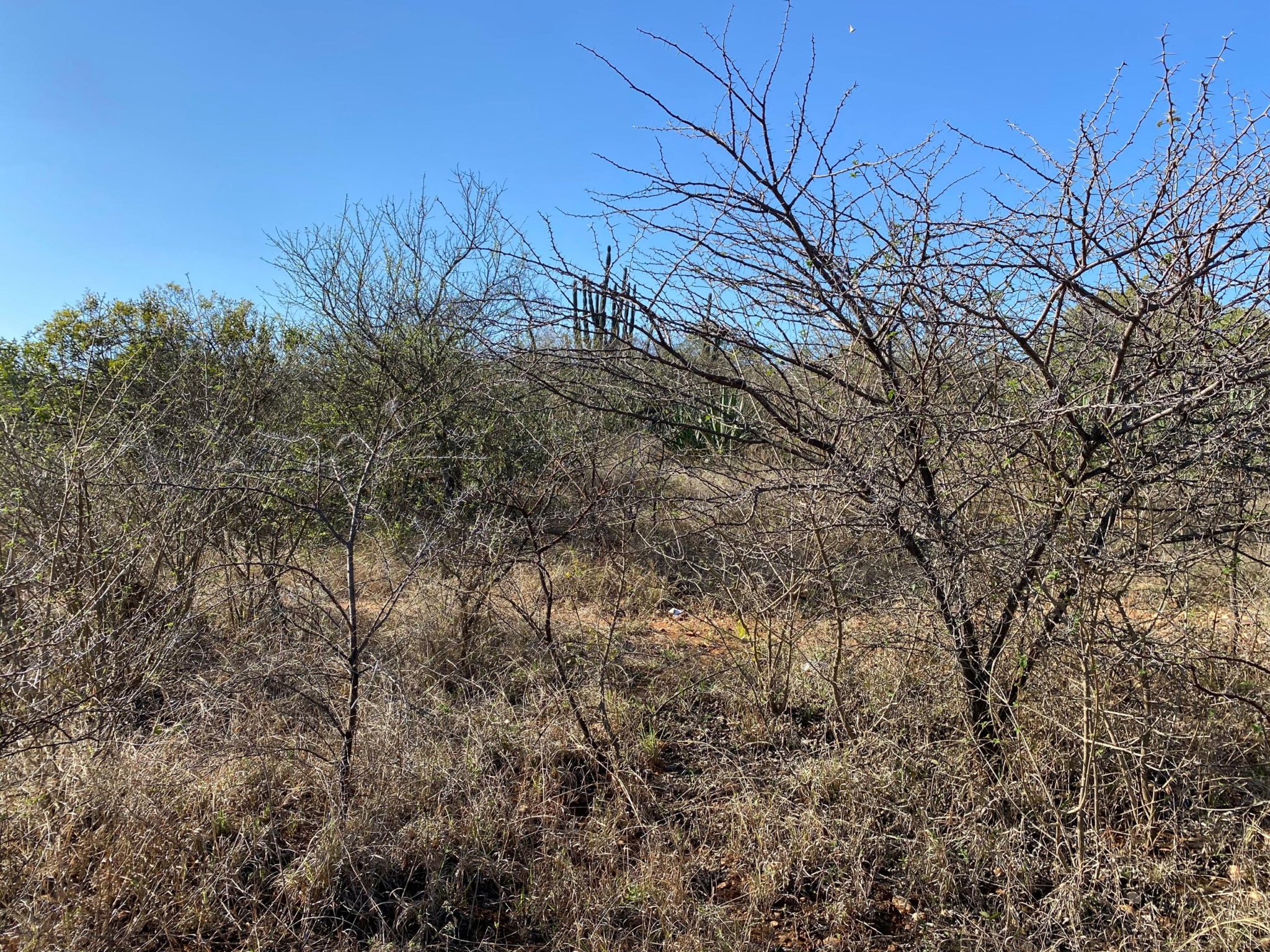 WhatsApp Image 2026-10-20 at 10.14.33 2.867Ha Kensington Plot For Sale