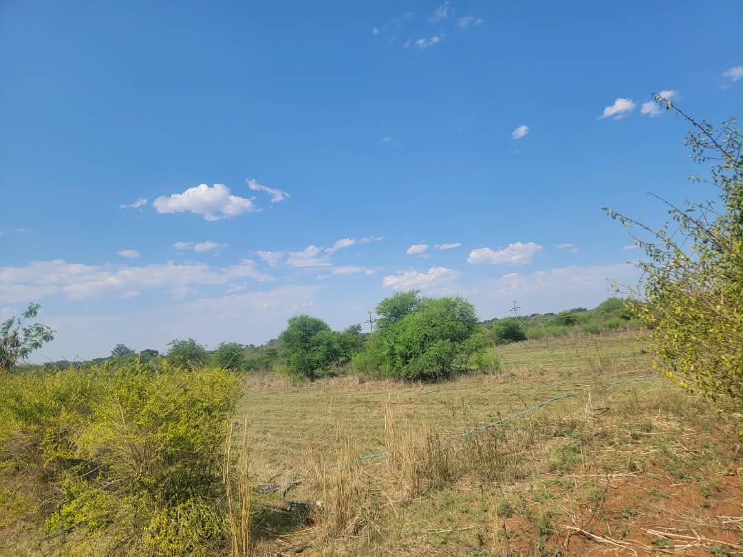 3 Bedroomed House on 1.045Ha in Douglasdale For Sale