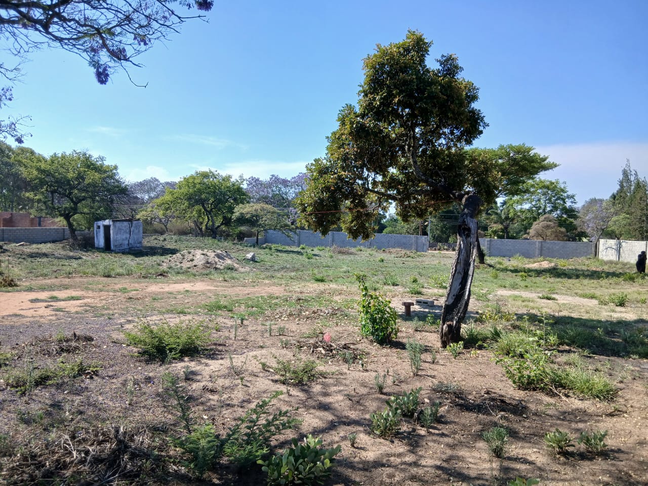 WhatsApp Image 2026-10-30 at 16.17.01 (2) 3,848sqm Stand in Burnside For Sale