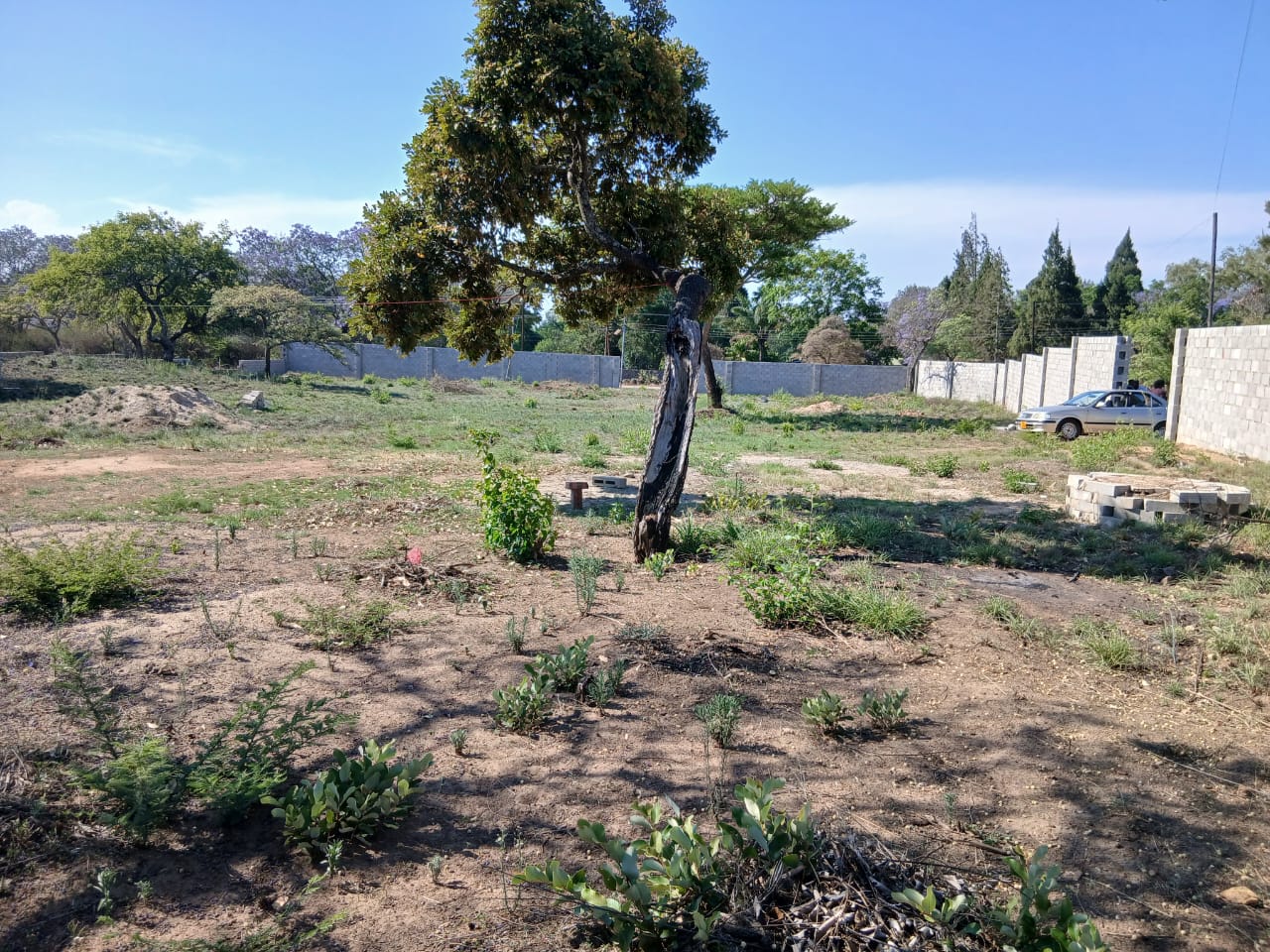 WhatsApp Image 2026-10-30 at 16.17.03 (1) 3,848sqm Stand in Burnside For Sale